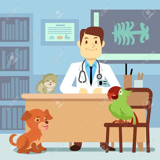 Oficina de un Veterinario