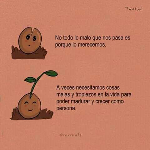 Aveces