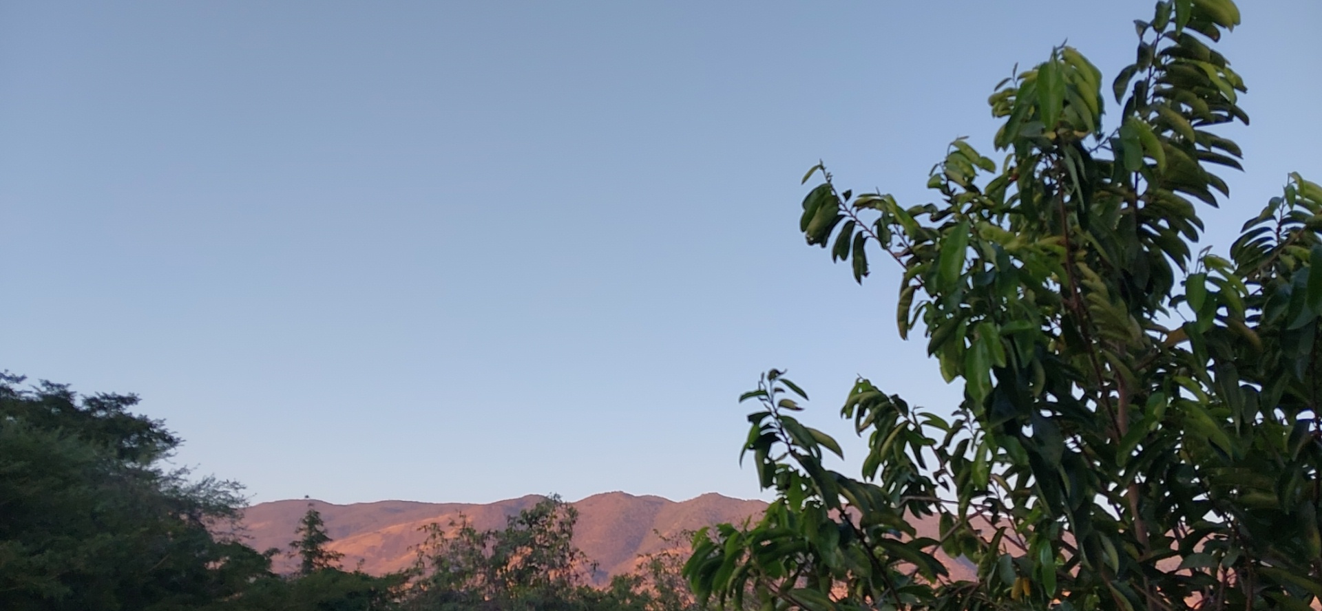 Atardecer Jardines