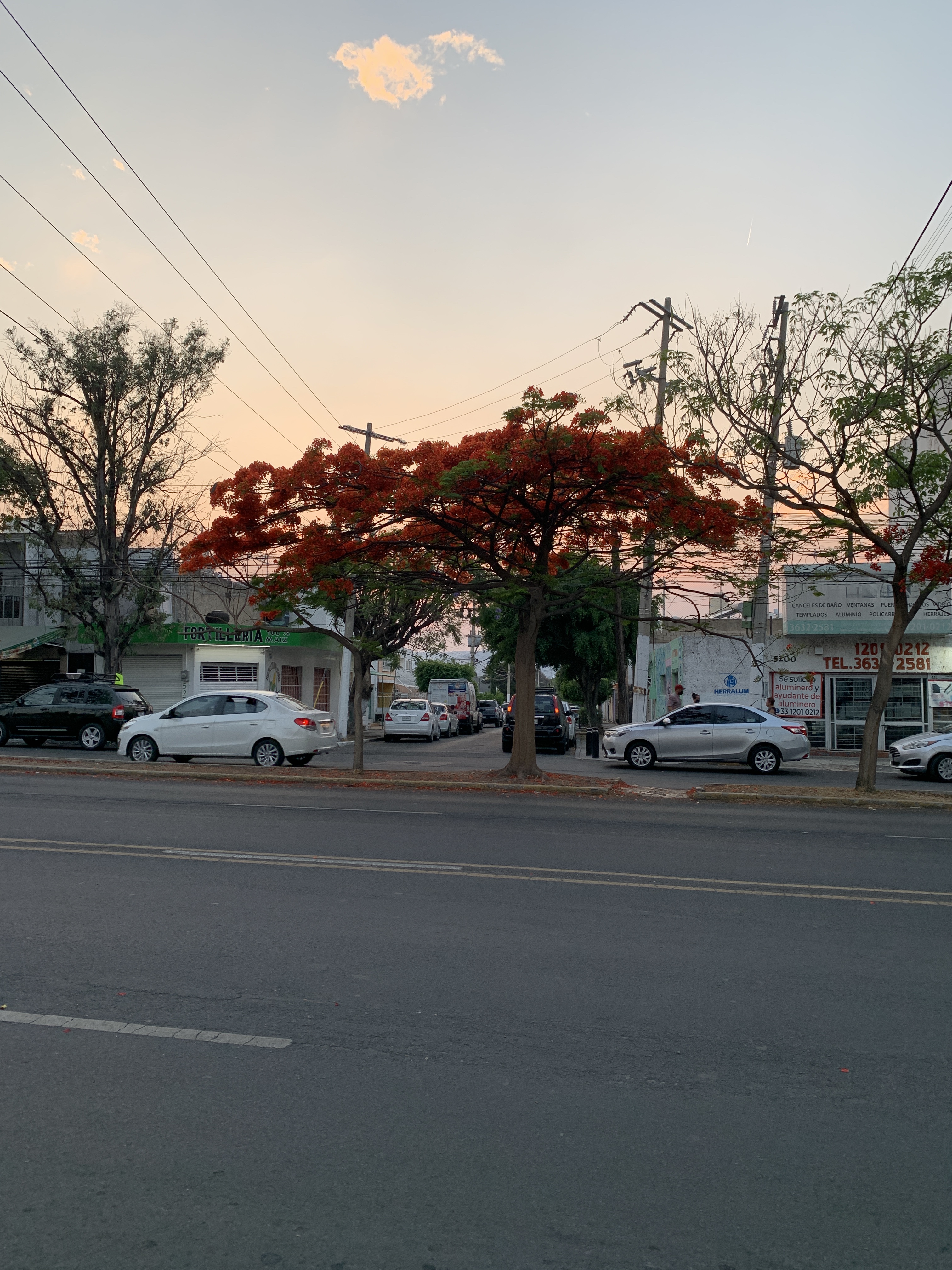 street