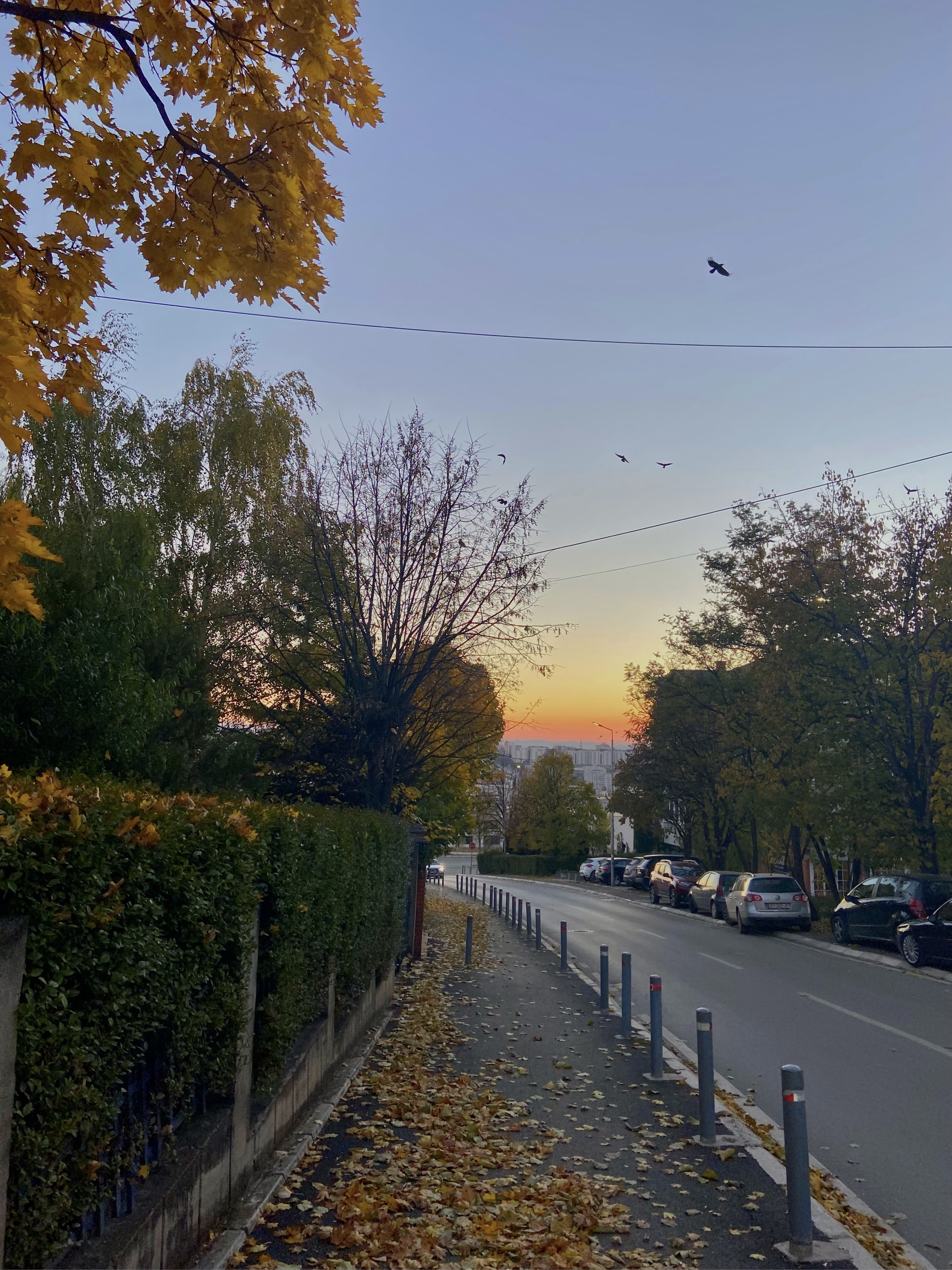 sunset road