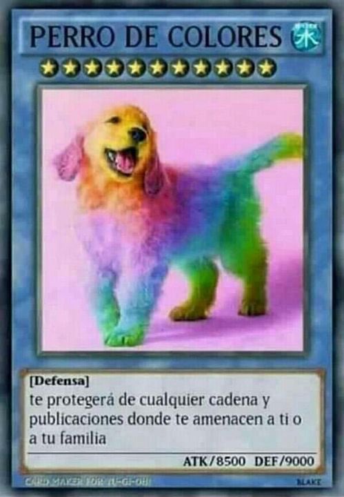 perro