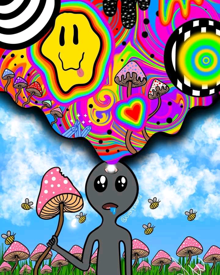 Un buen viaje sin palabras