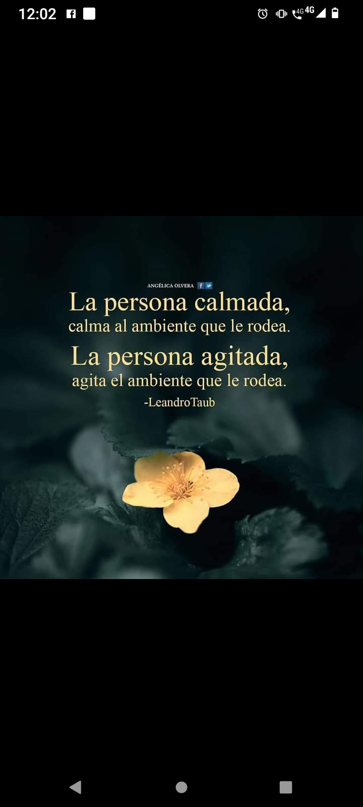 La persona calmada