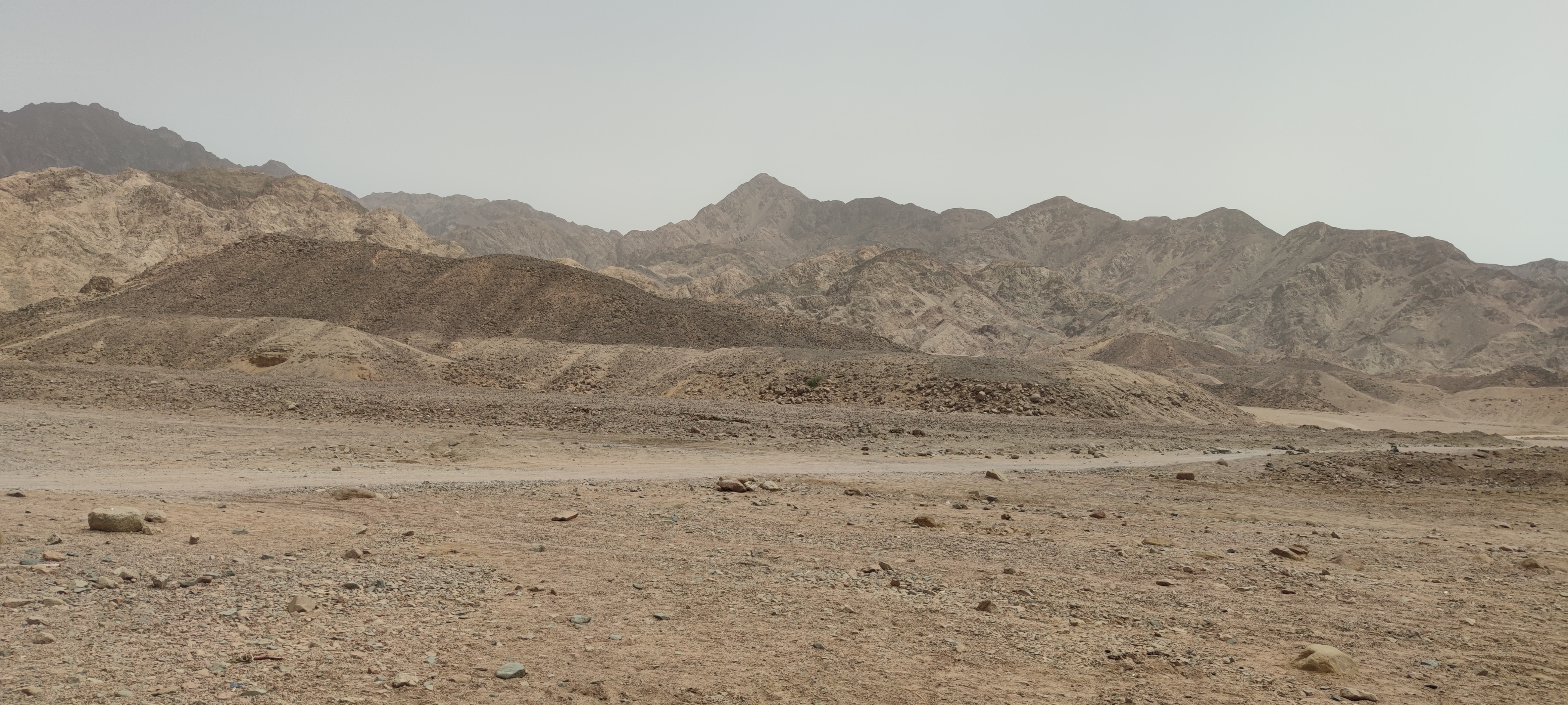 In the dessert