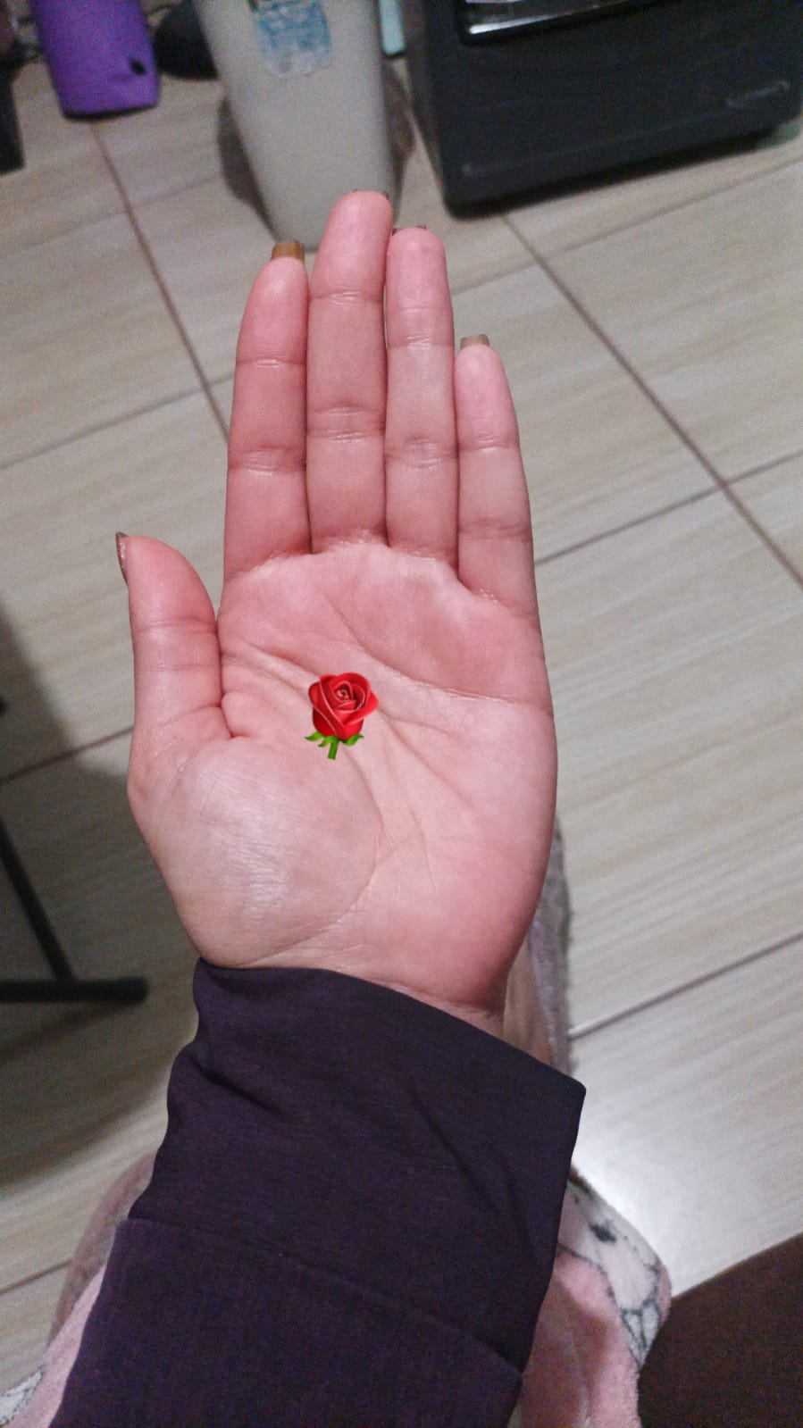 Rose hand