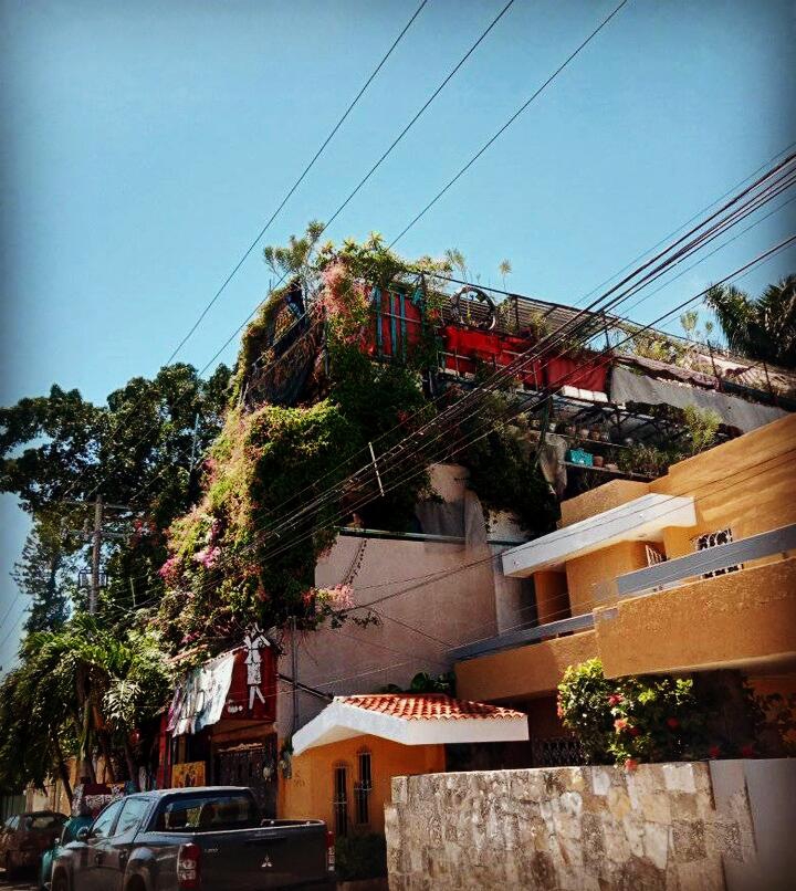 La maravilla de la naturaleza