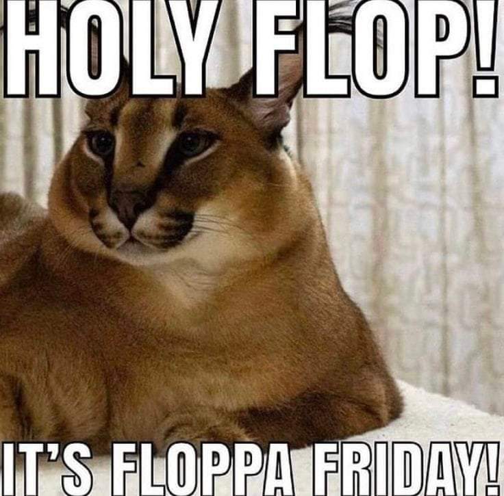Holy Flop!
