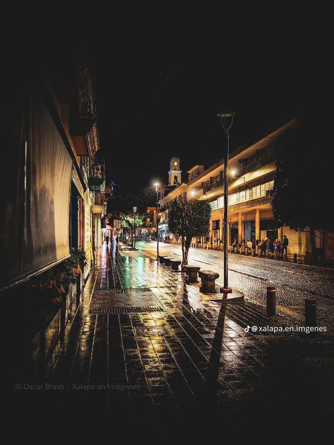 Xalapa nocturna