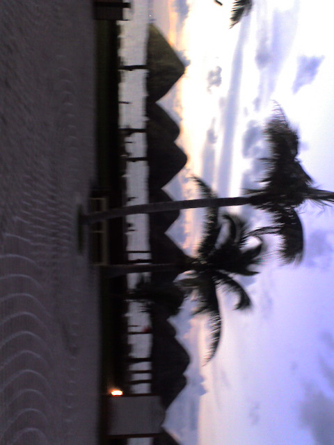 Atardecer con palmeras