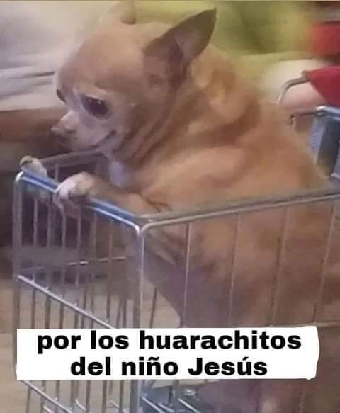 Jajajaja