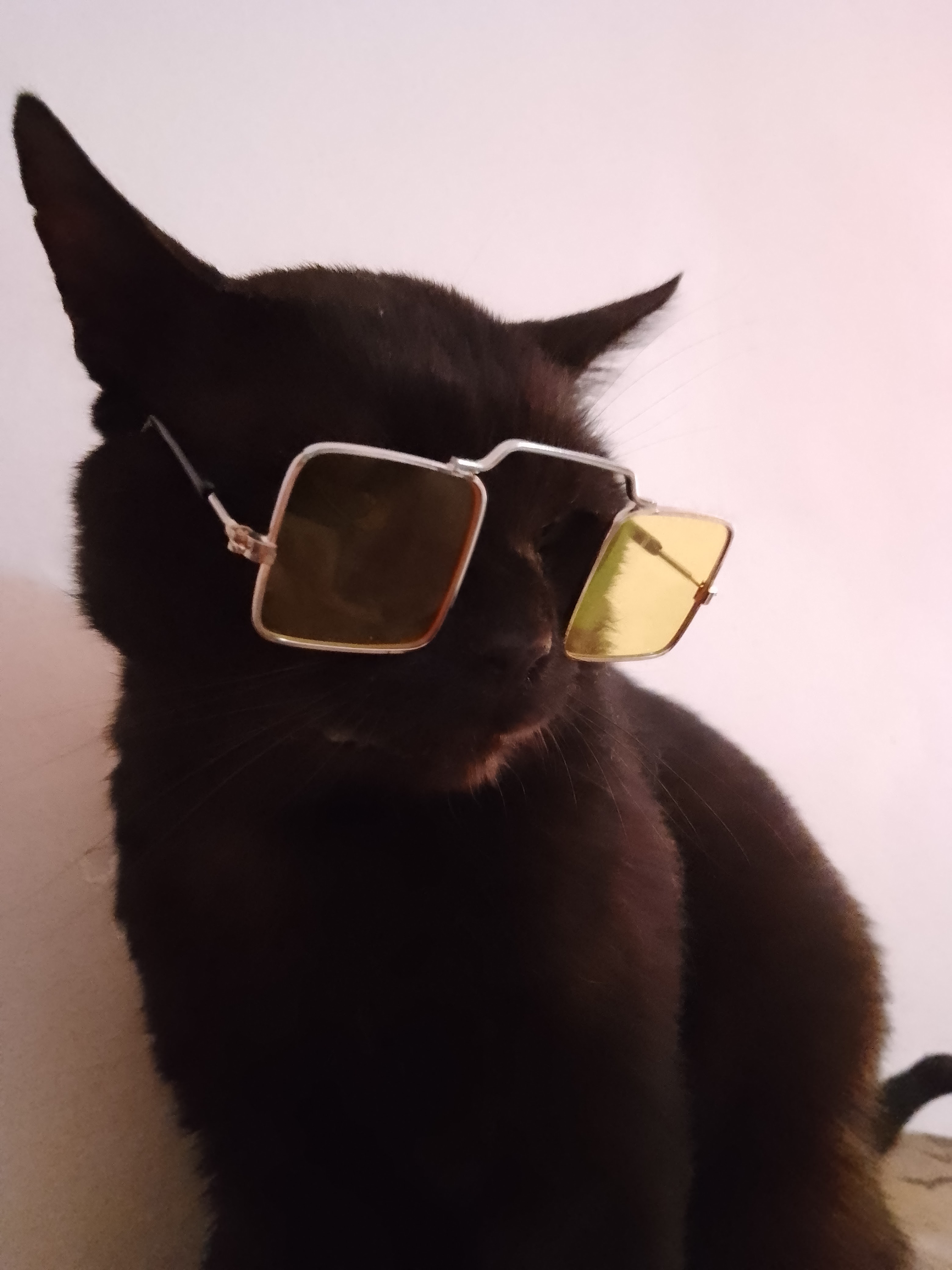 Taison Cool