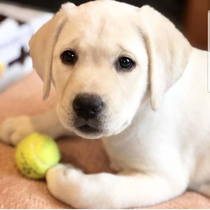 Que haces? Puedo ver?