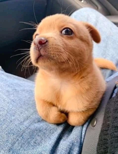 Me das un poco?