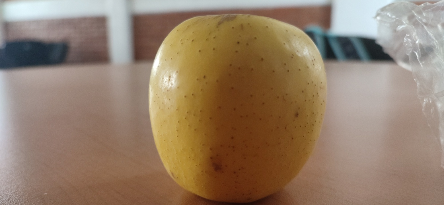 La manzana xd