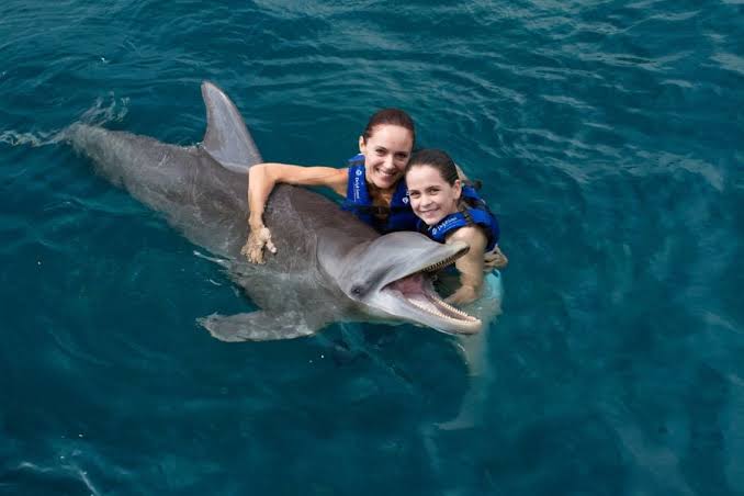 Nadando con delfines.