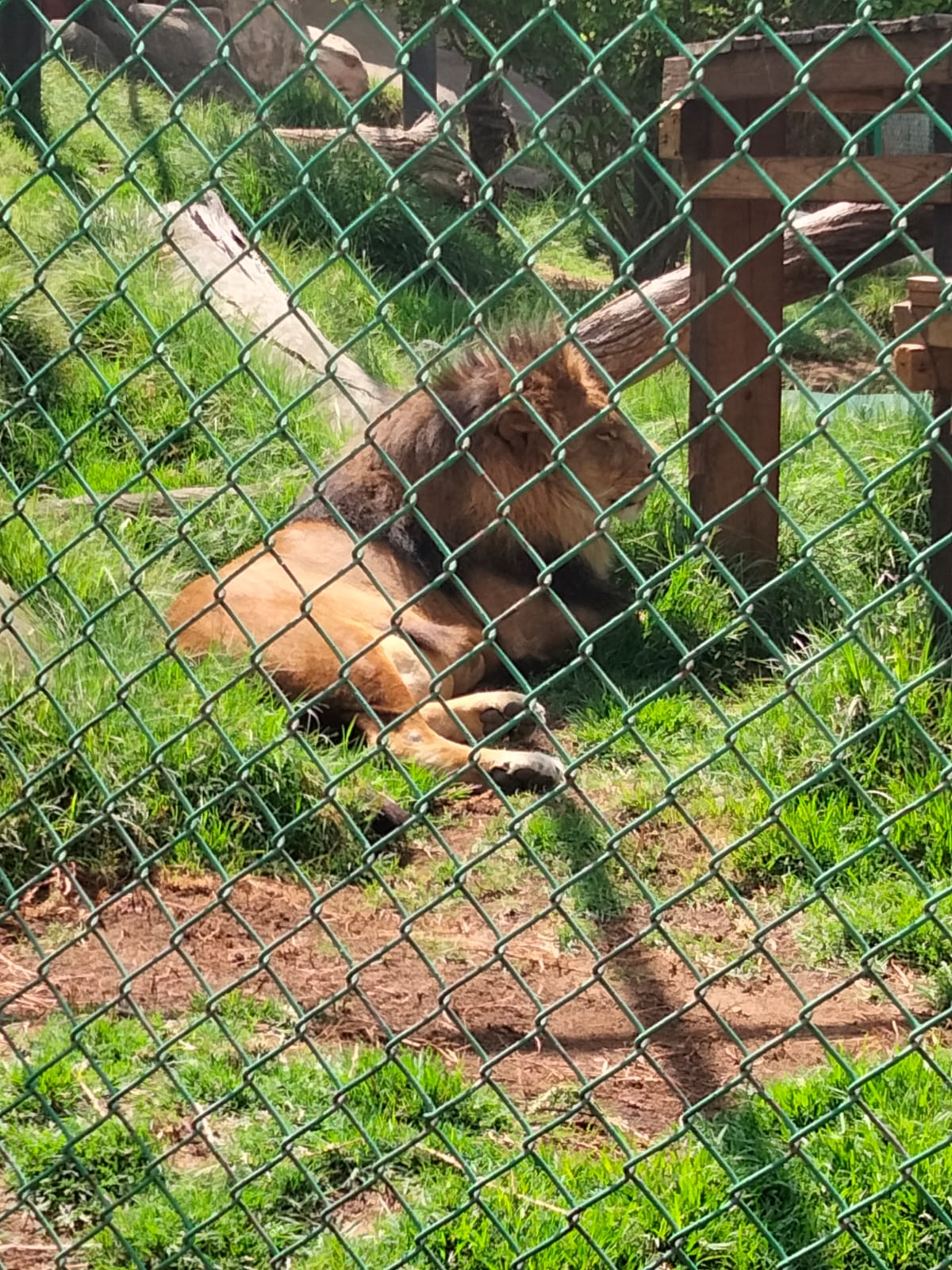 Zoológico
