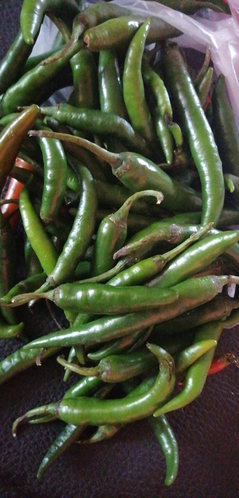 Chile de árbol