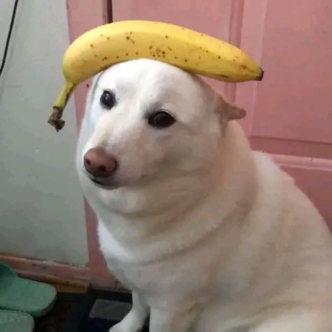 Mira mamá, tengo un plátano en mi cabeza