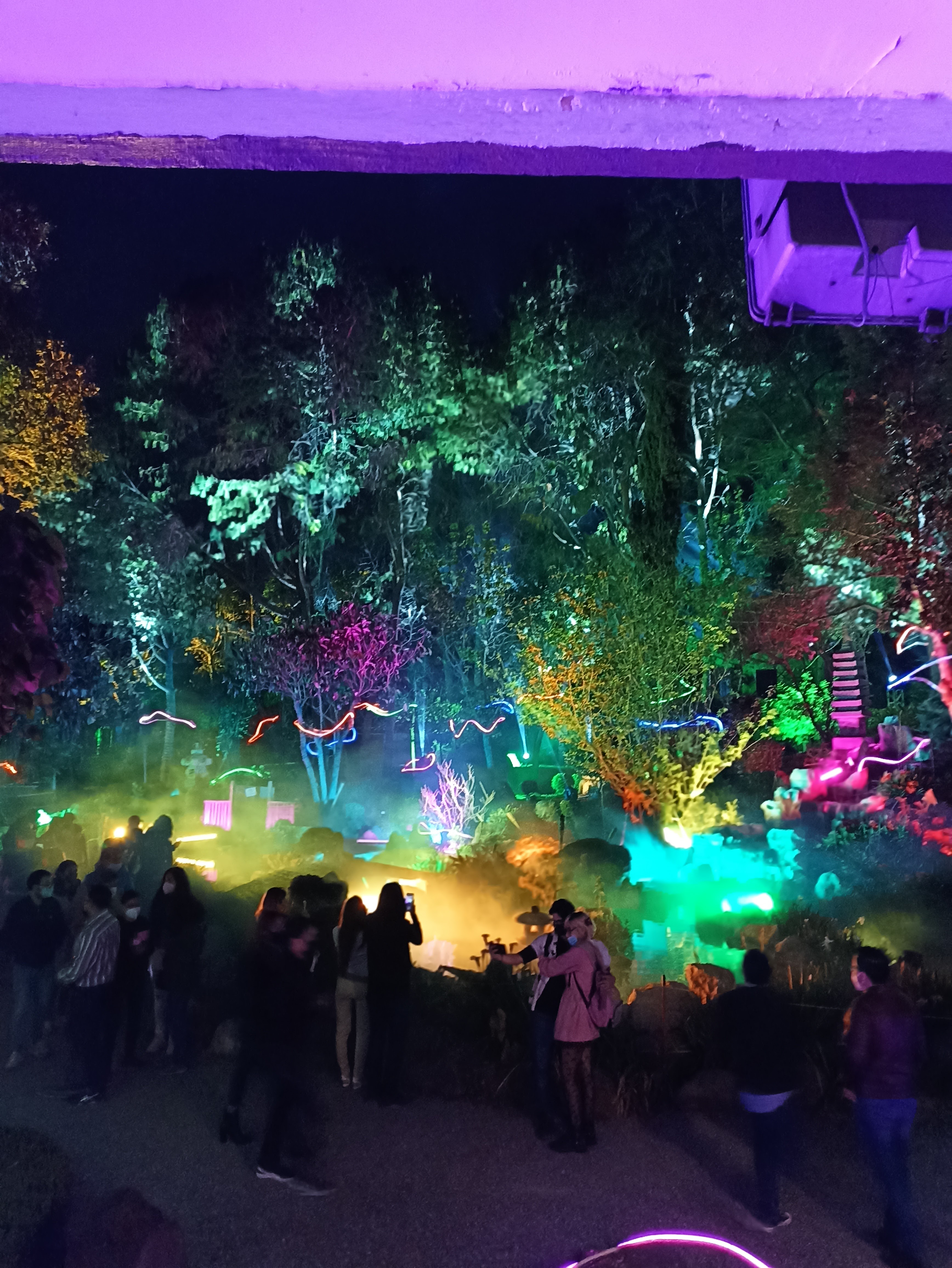 Garden nights