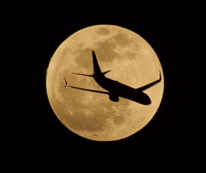 Avión