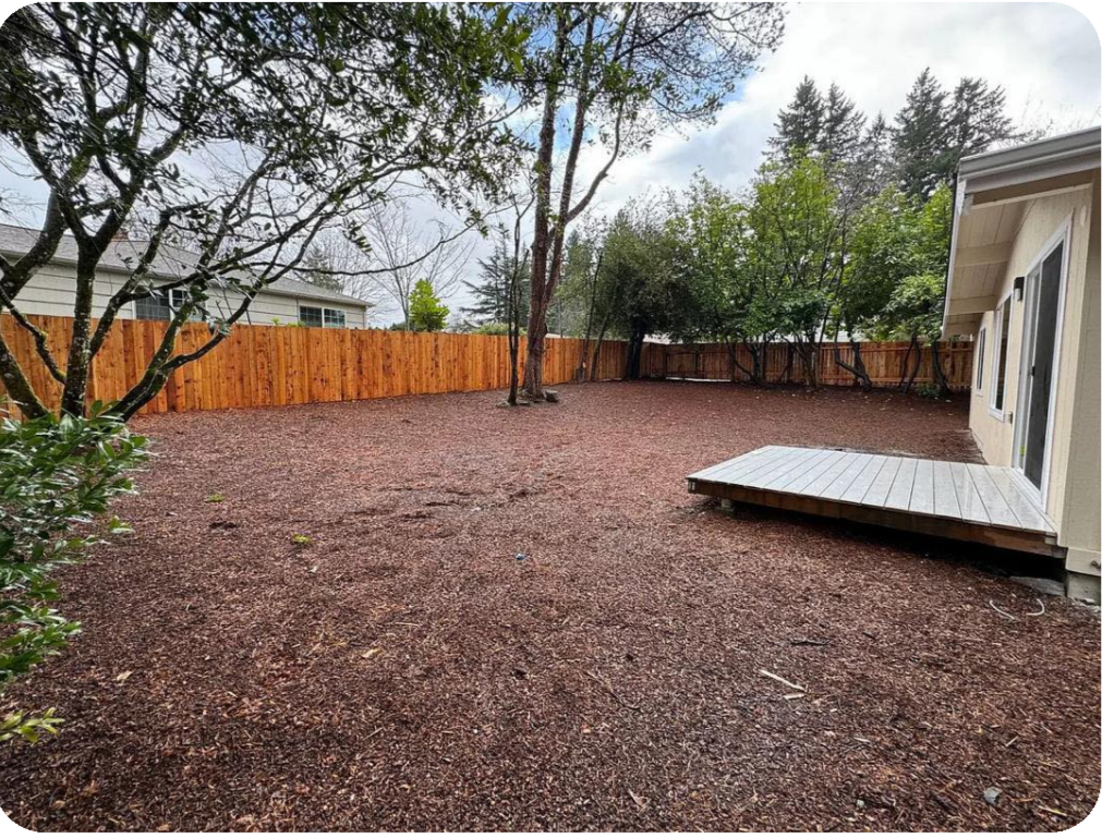 Mi patio