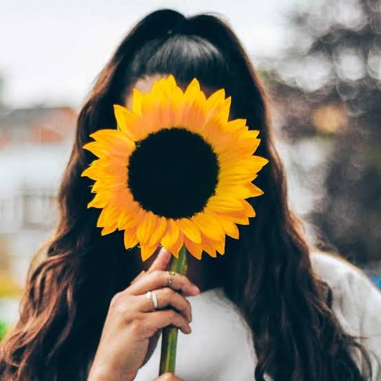 Girasol