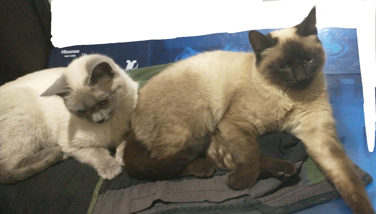 Hermanitas