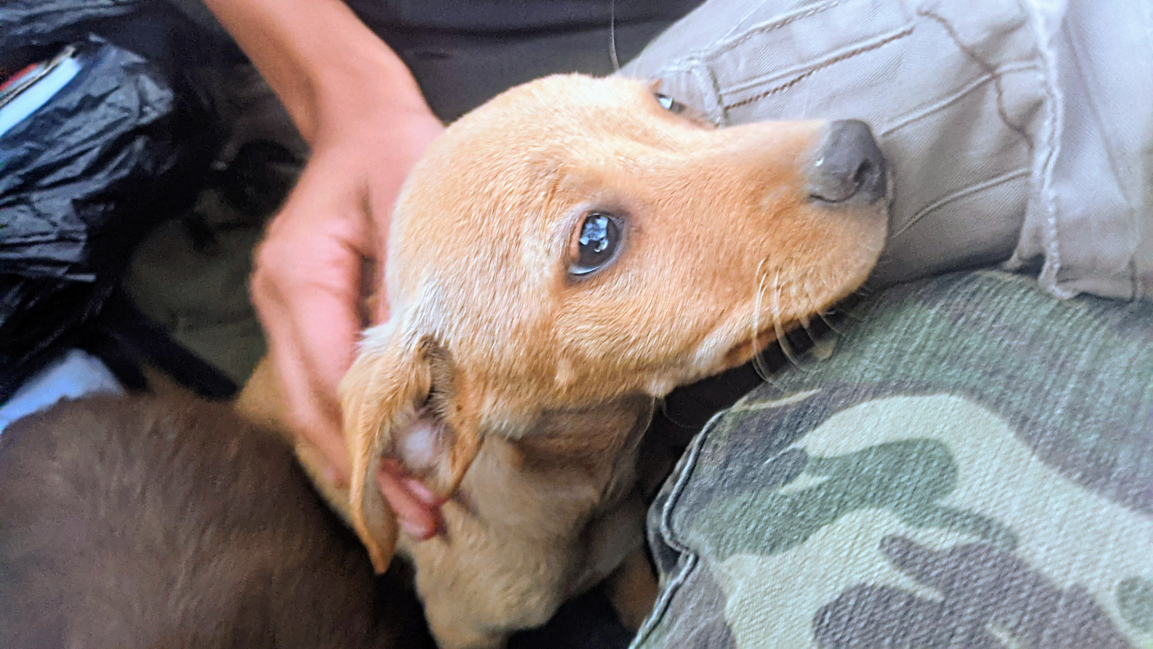 Mirada inocente