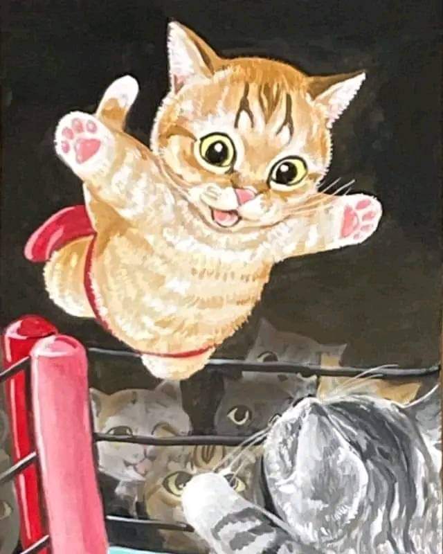 El gato volador!