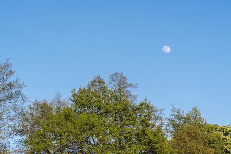 luna de dia