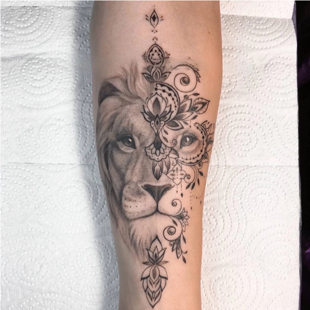 Lion