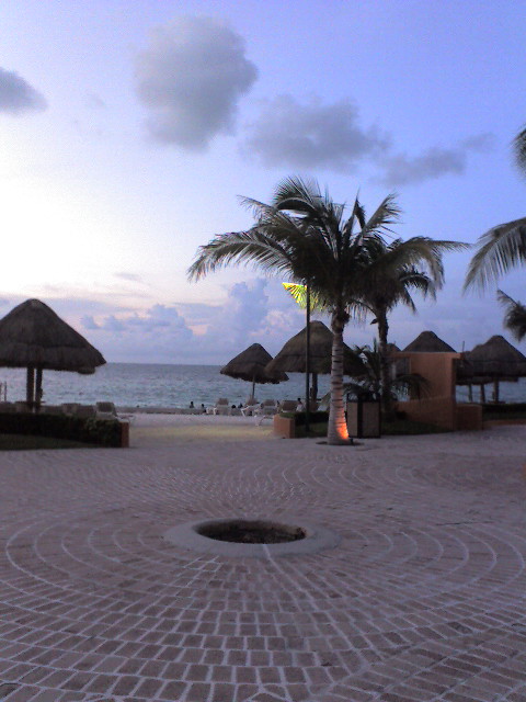 Palmeras en el mar 1