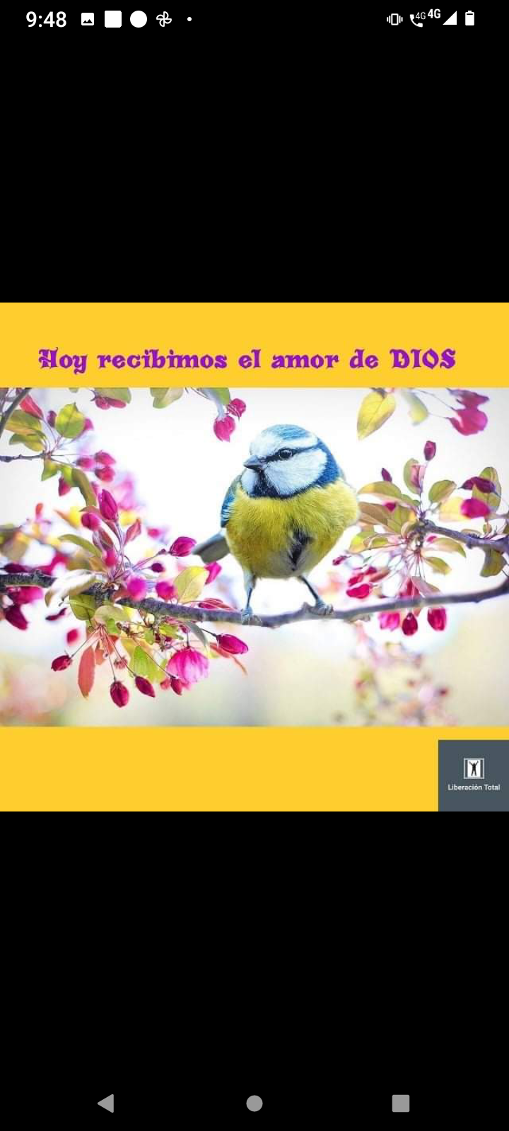 Un pajarito