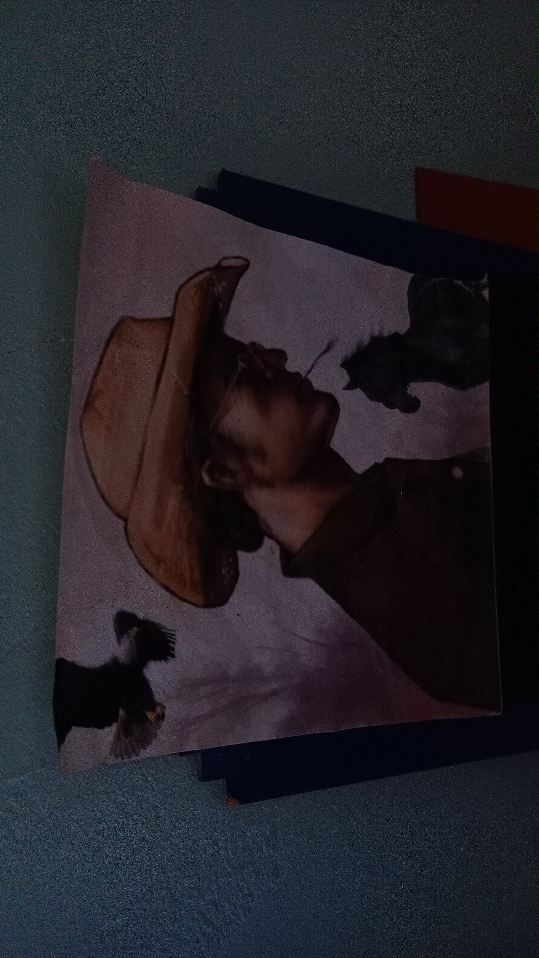 Un día en el rancho