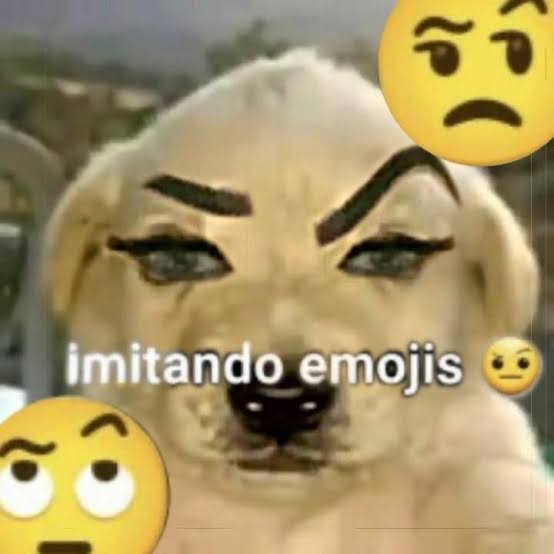 PERRO IMITANDO EMOJIS