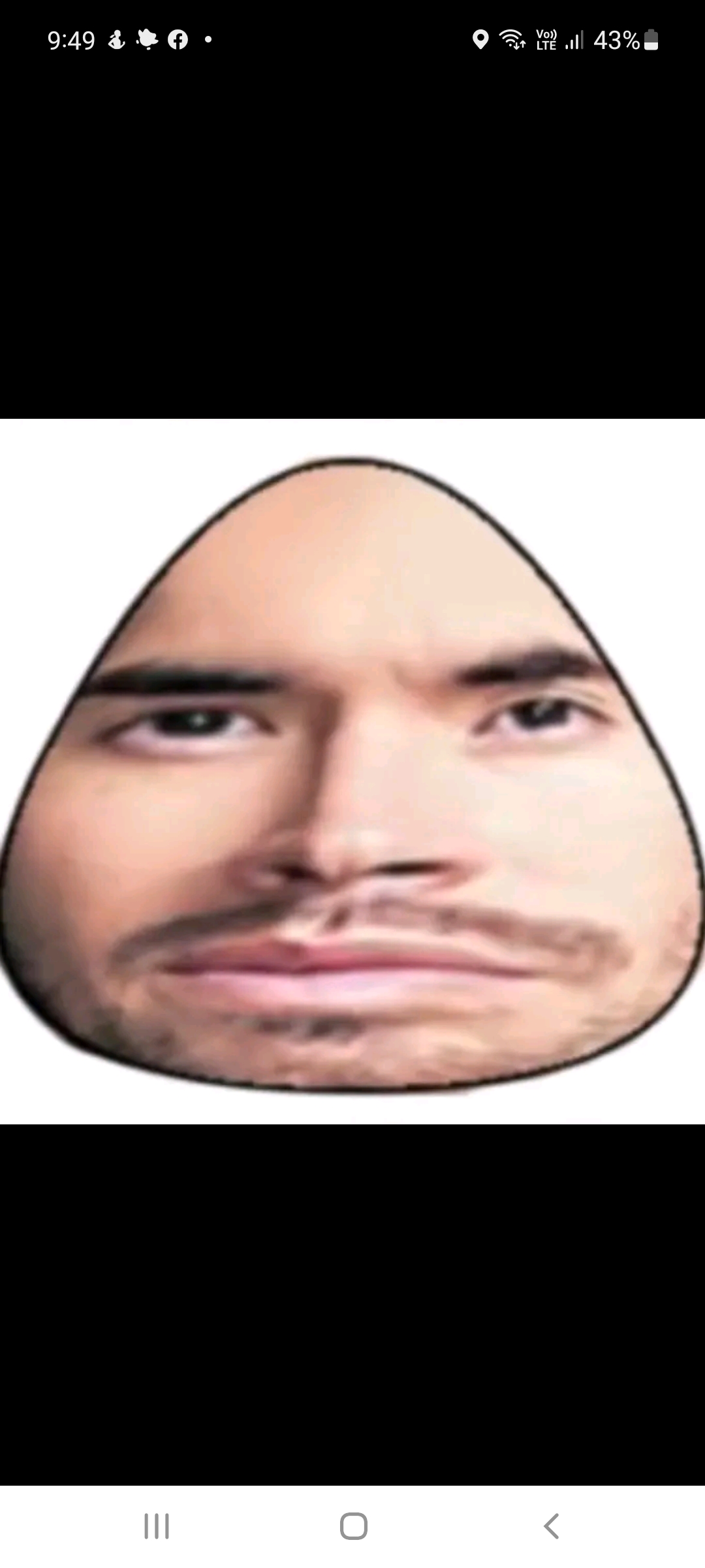 Pou garmendia