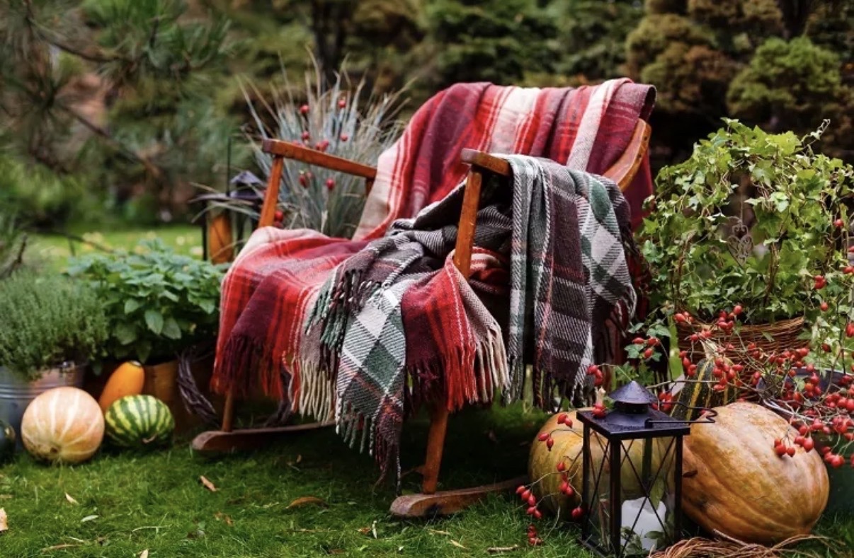 automn-cosy