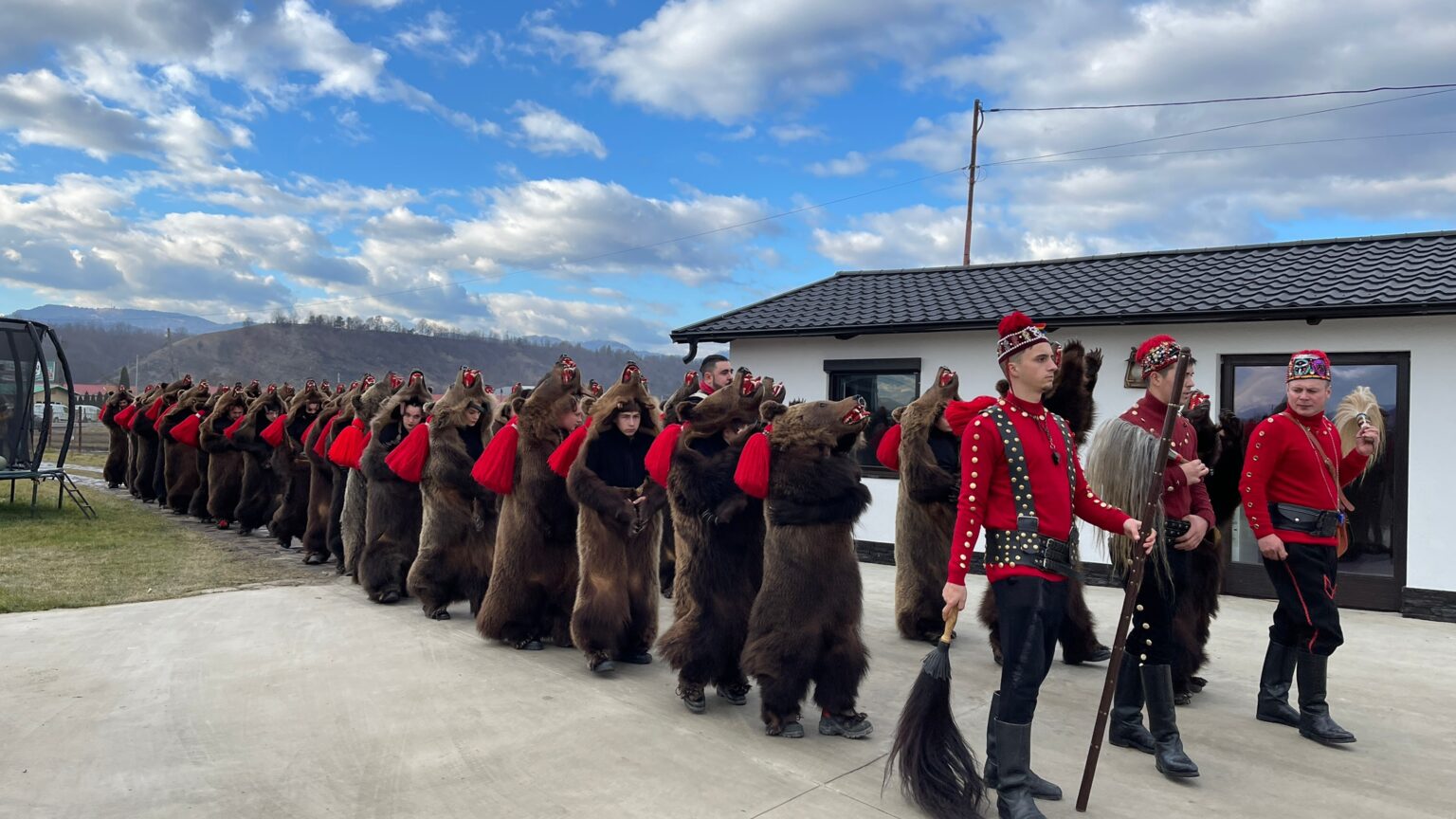 The bear dance