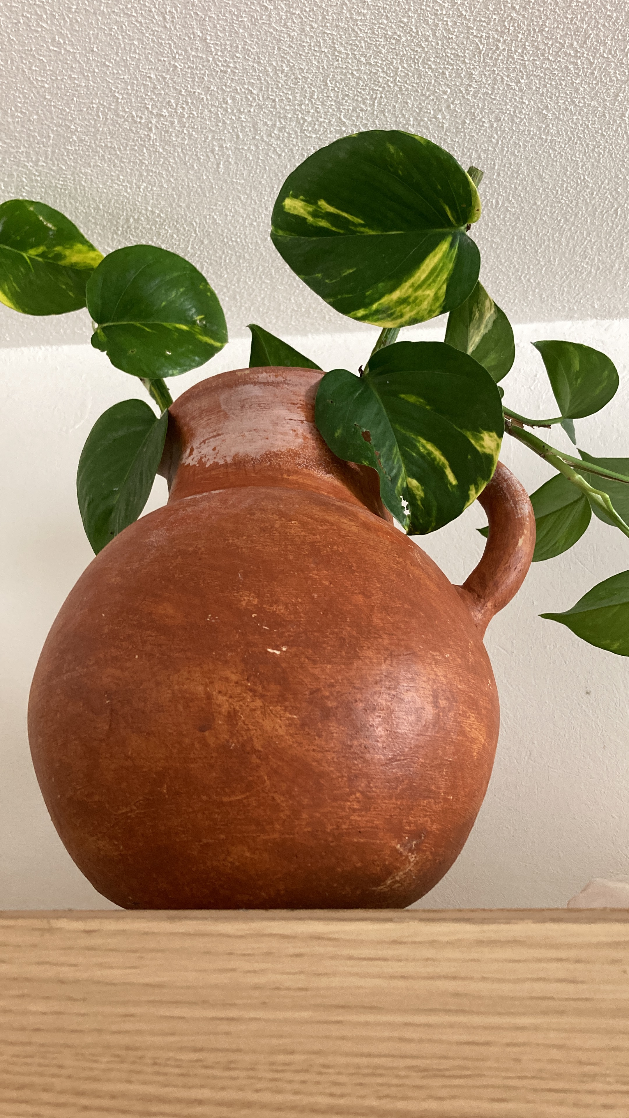 cantarito de mi vida