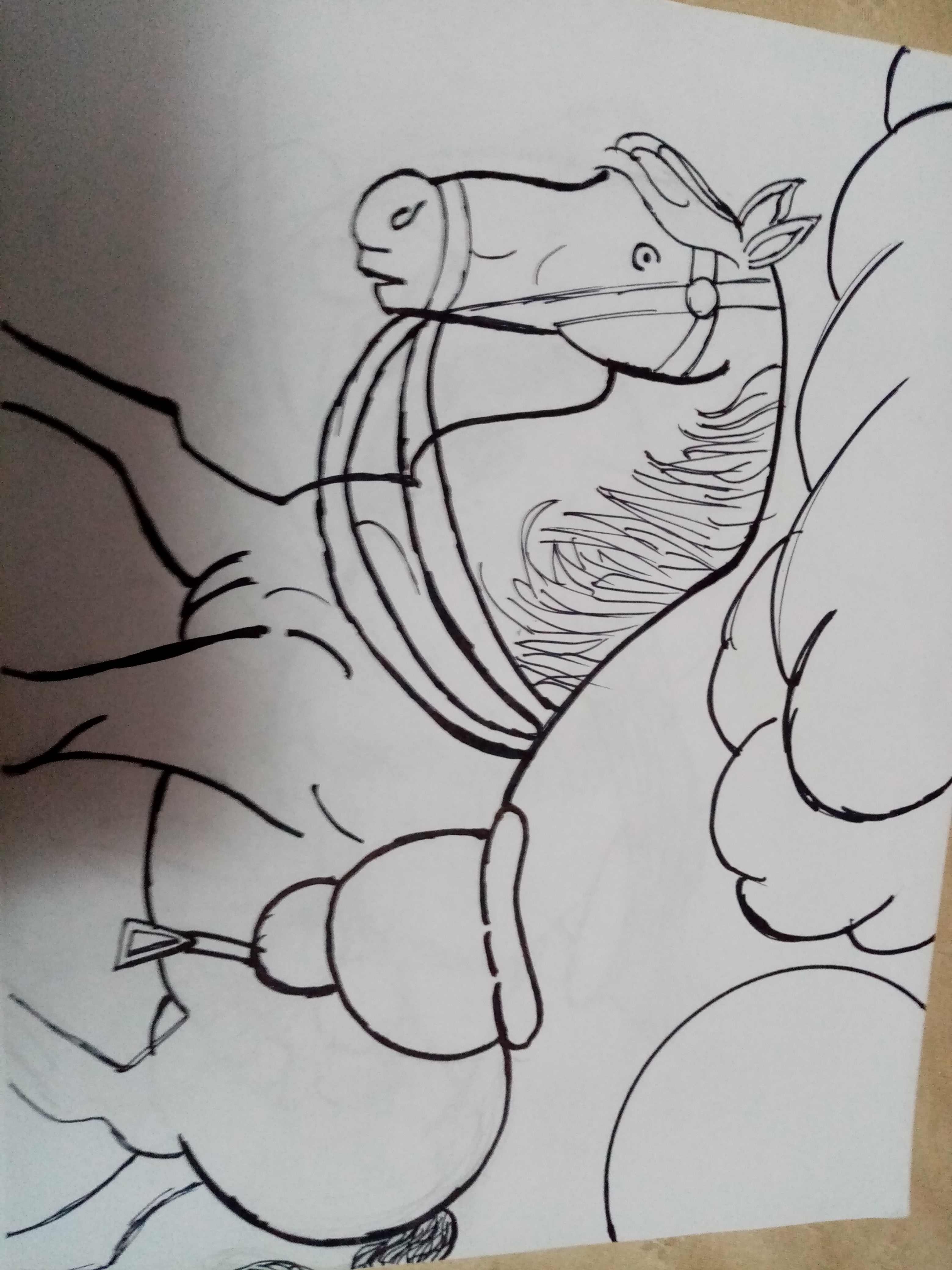 horse