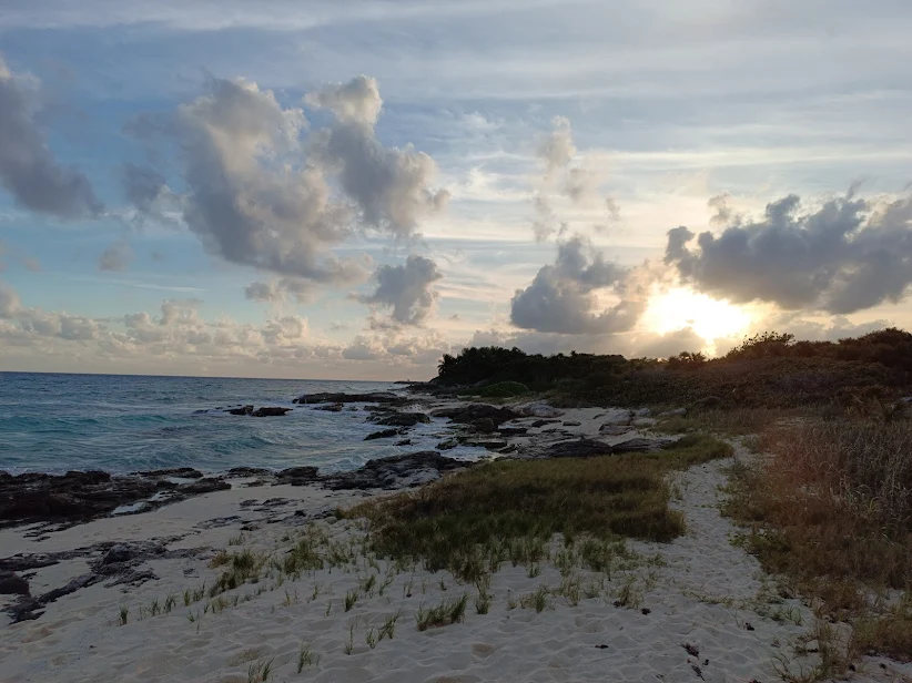 Una tarde linda y calida