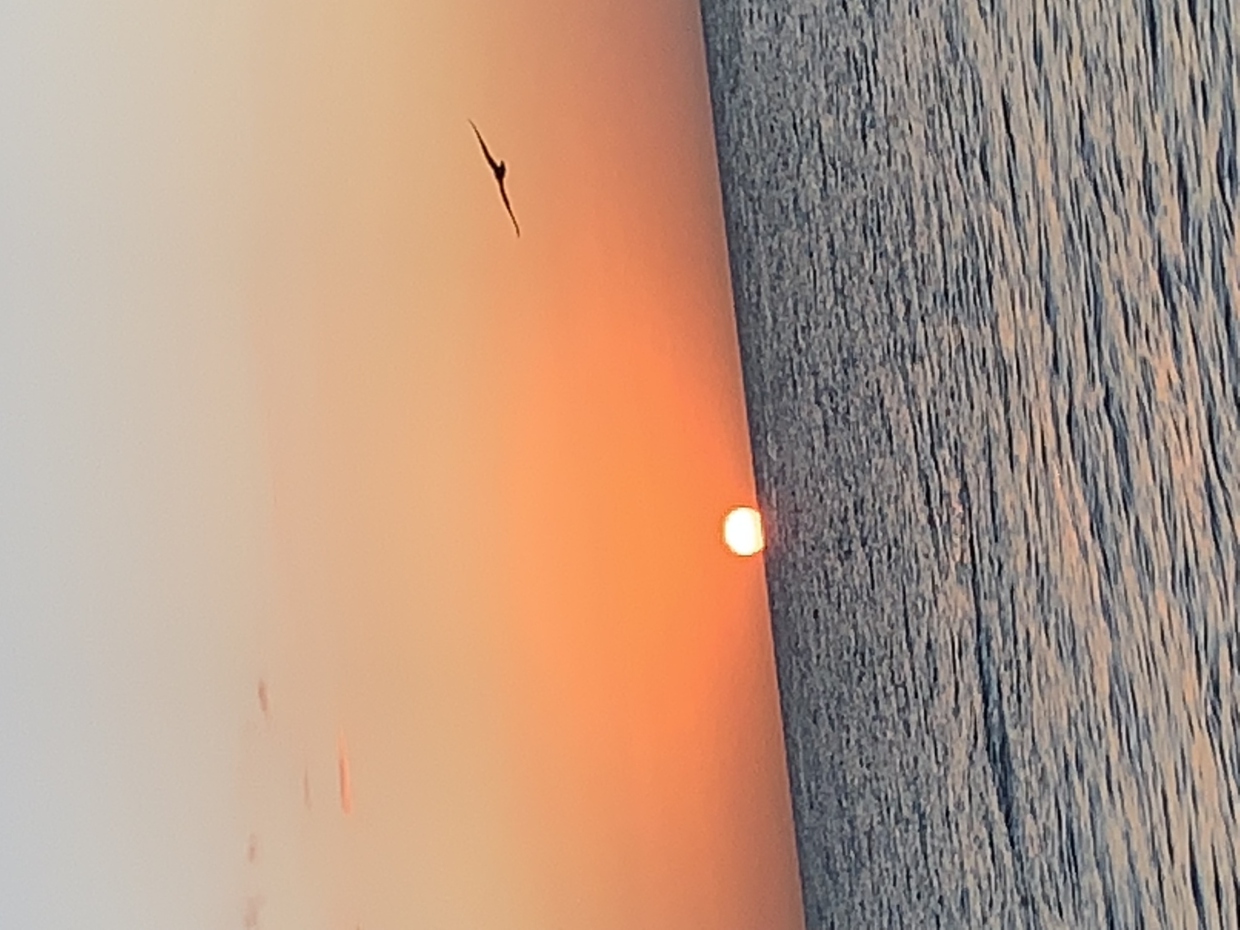 Holbox Sunset