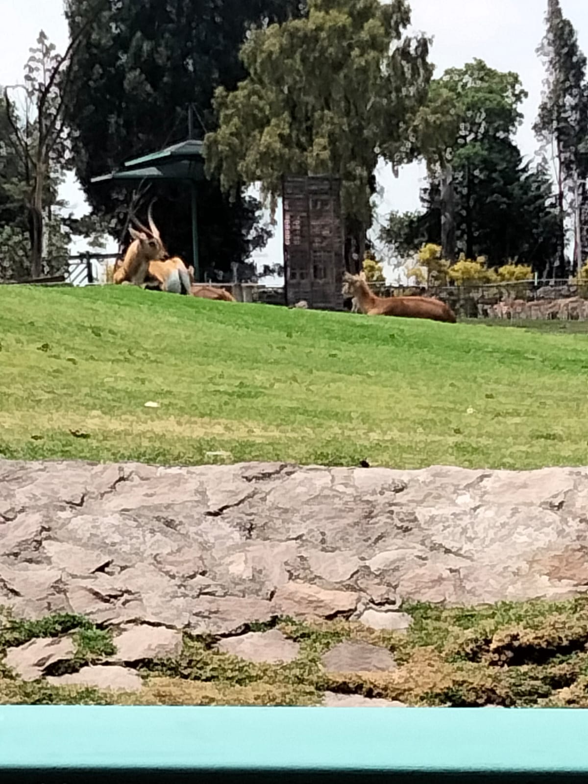 Zoológico