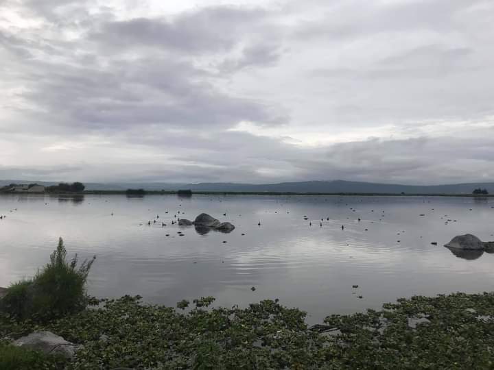 Naturaleza