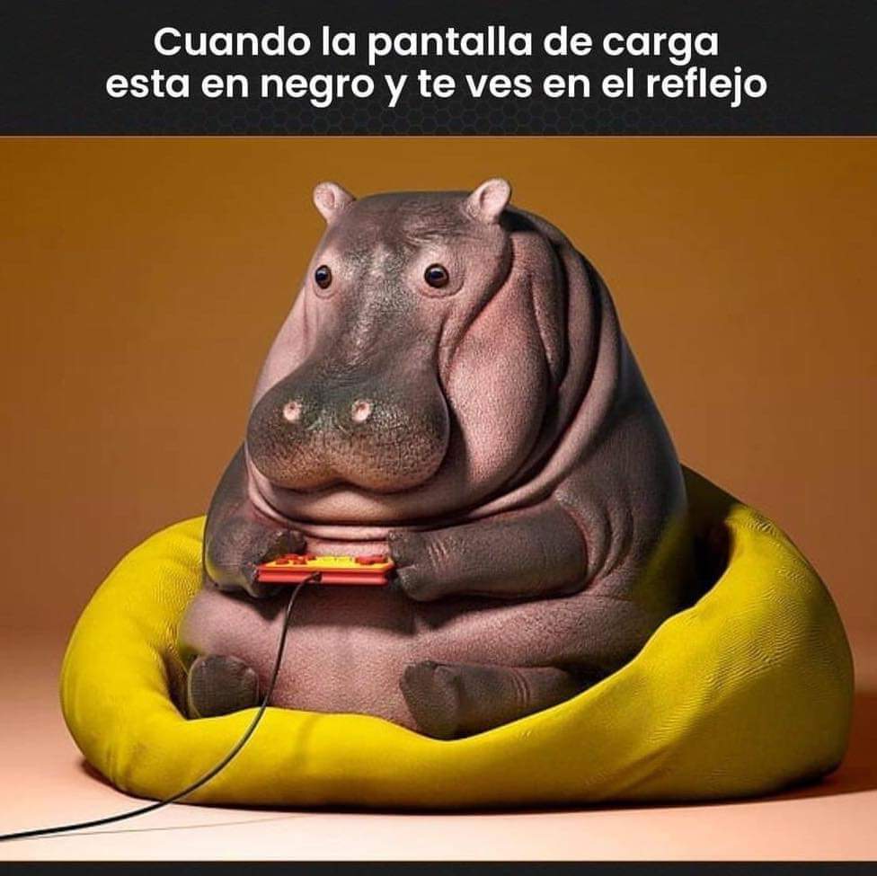 Yo