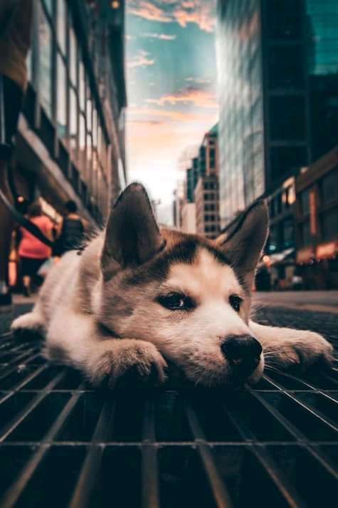 Aquí me puedo acostar?