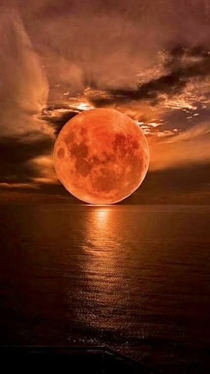 Navegando a la luna