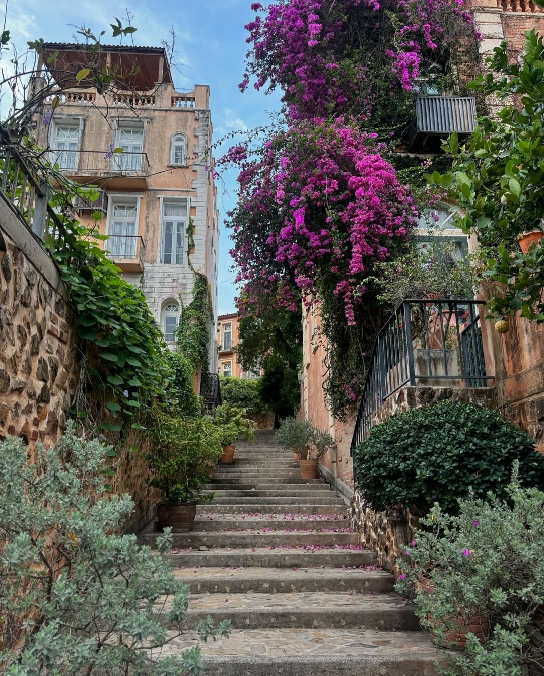Floral Path