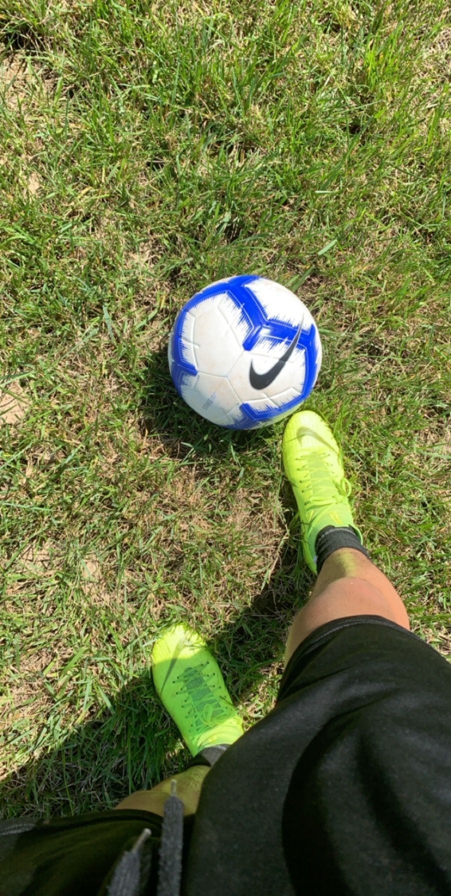 Un rato en el campo uwu